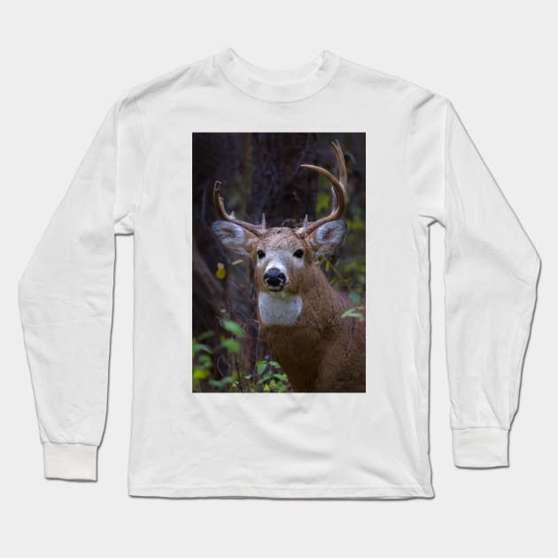 Battle Scars - White-tailed Buck Long Sleeve T-Shirt by Jim Cumming